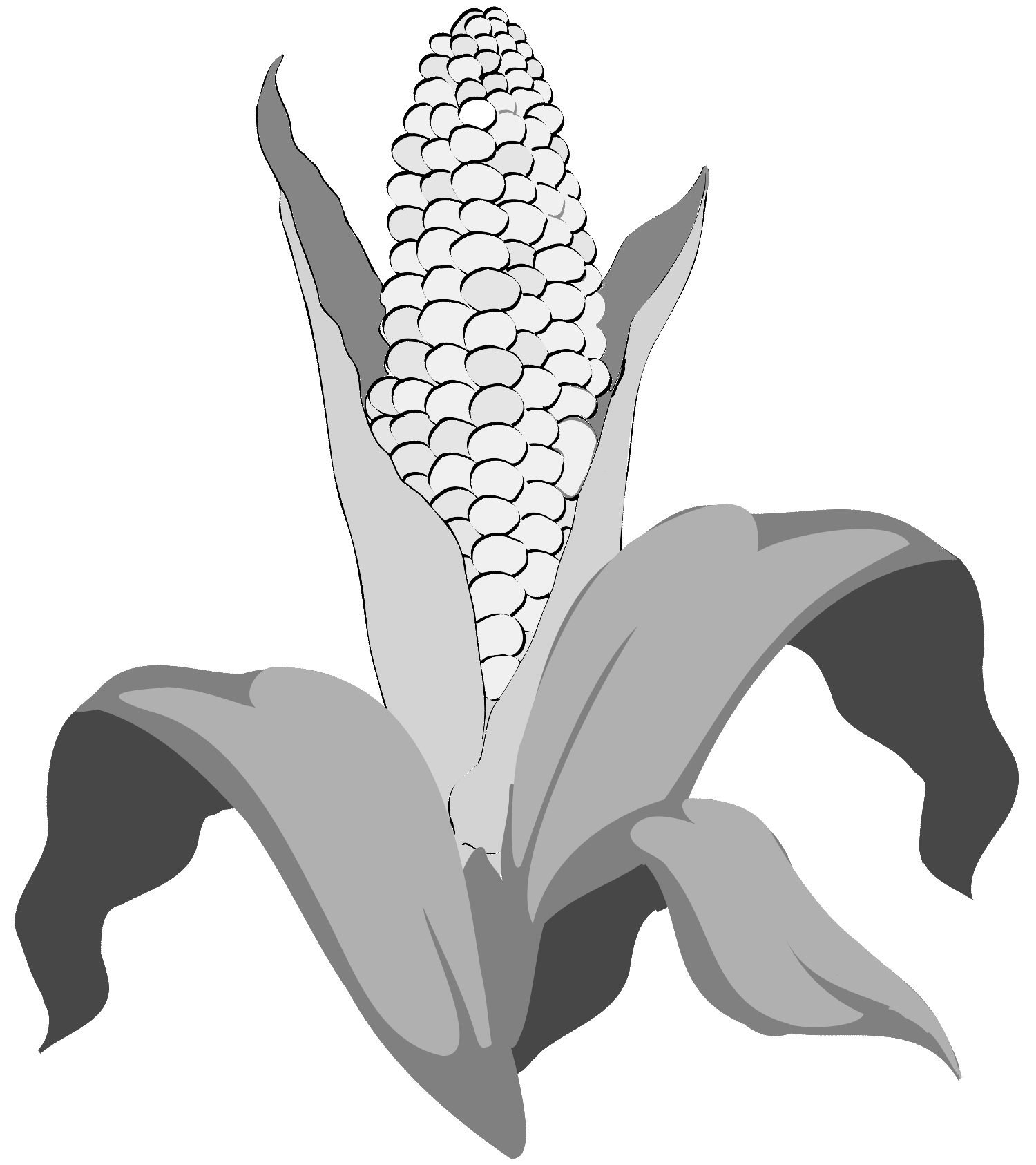 L'illustration présente une épis de maïs, qui symbolise l'agro-industrie, associée aux principes du Lean Thinking appliqués au secteur agricole. L'illustration a été créée par Nêio Mustafa, illustrateur.